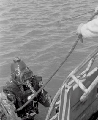 rubber diver